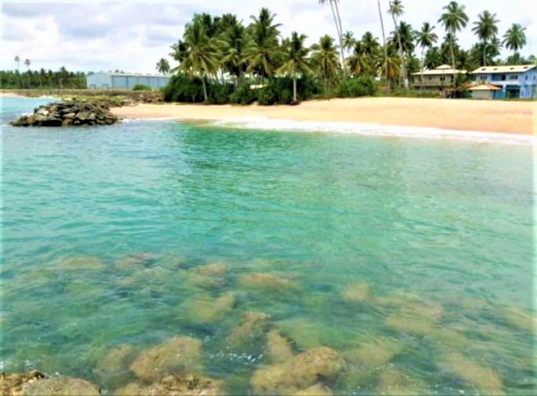 Sea Shell Villa Hikkaduwa 2 Separate Cabanas Ocean Front Villa Екстериор снимка